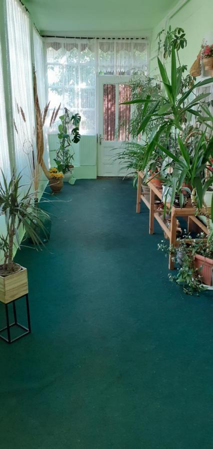 Marika Vendeghaz Apartment Abadszalok ภายนอก รูปภาพ