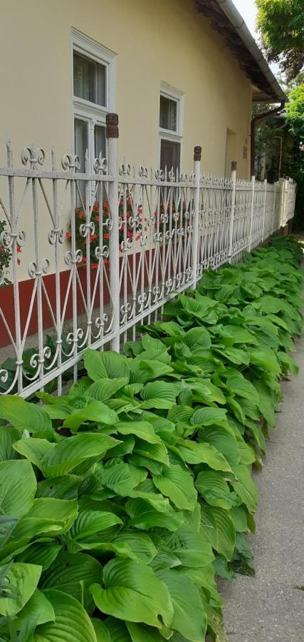 Marika Vendeghaz Apartment Abadszalok ภายนอก รูปภาพ