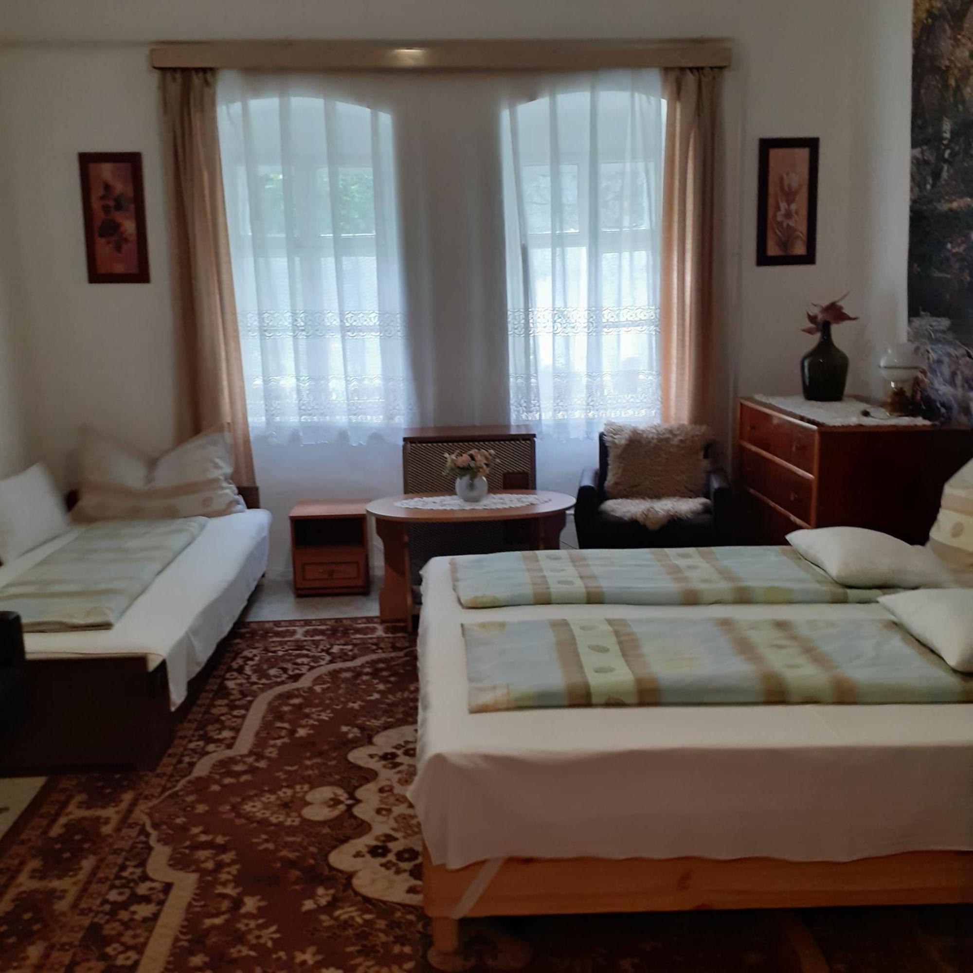 Marika Vendeghaz Apartment Abadszalok ภายนอก รูปภาพ