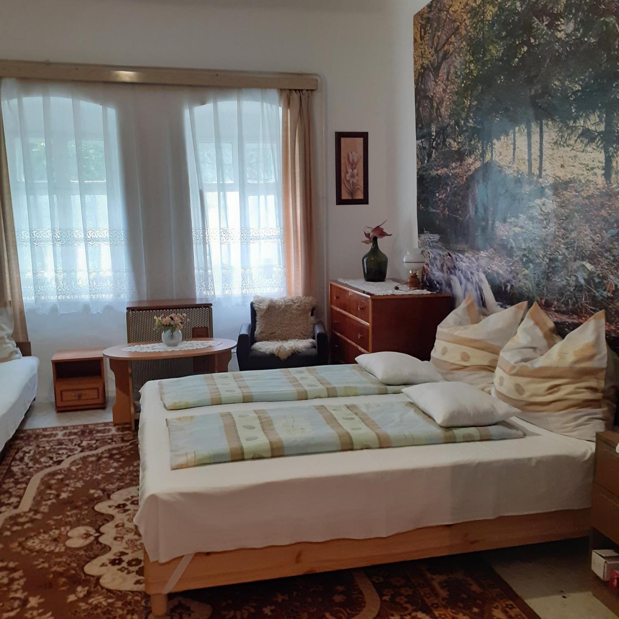 Marika Vendeghaz Apartment Abadszalok ภายนอก รูปภาพ