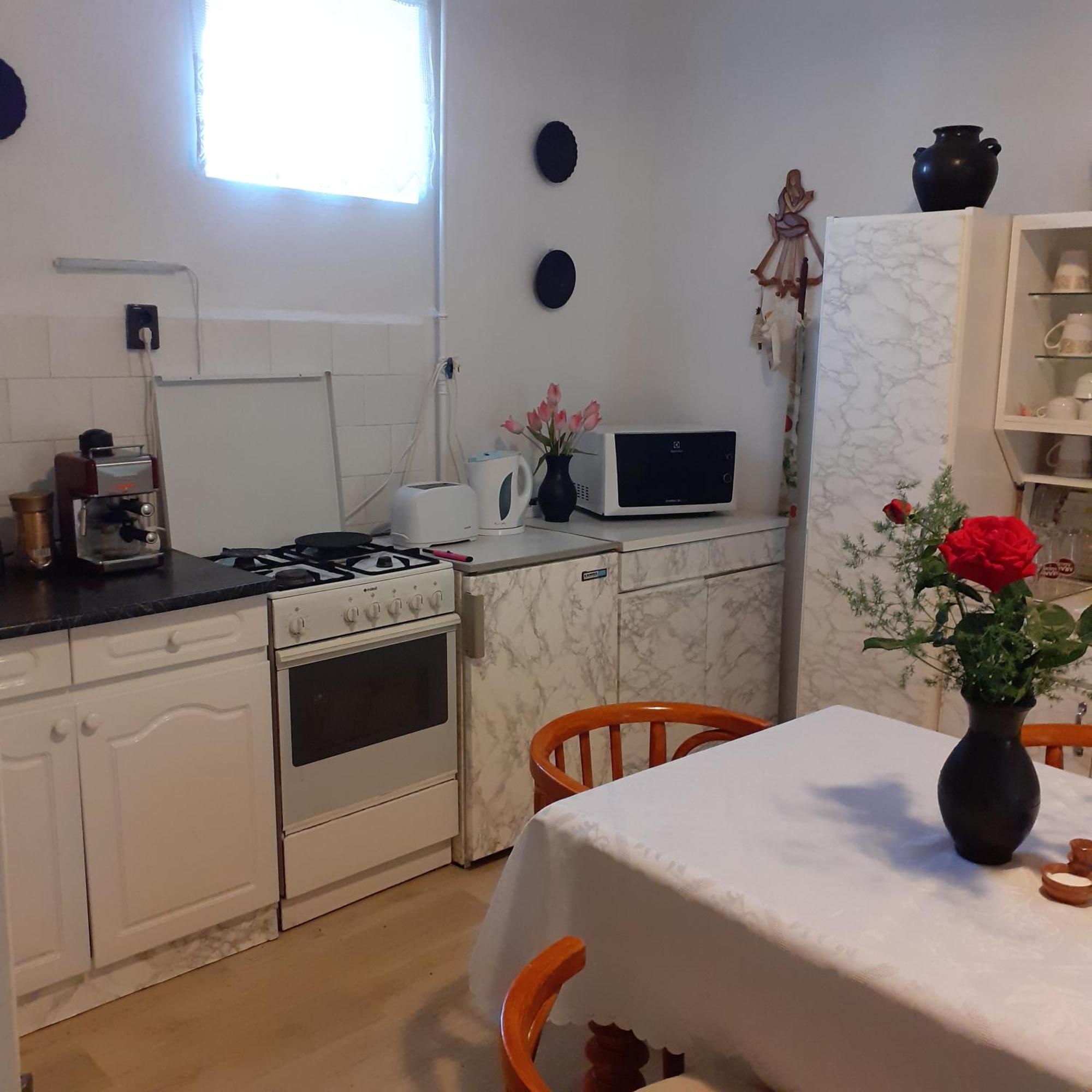 Marika Vendeghaz Apartment Abadszalok ภายนอก รูปภาพ