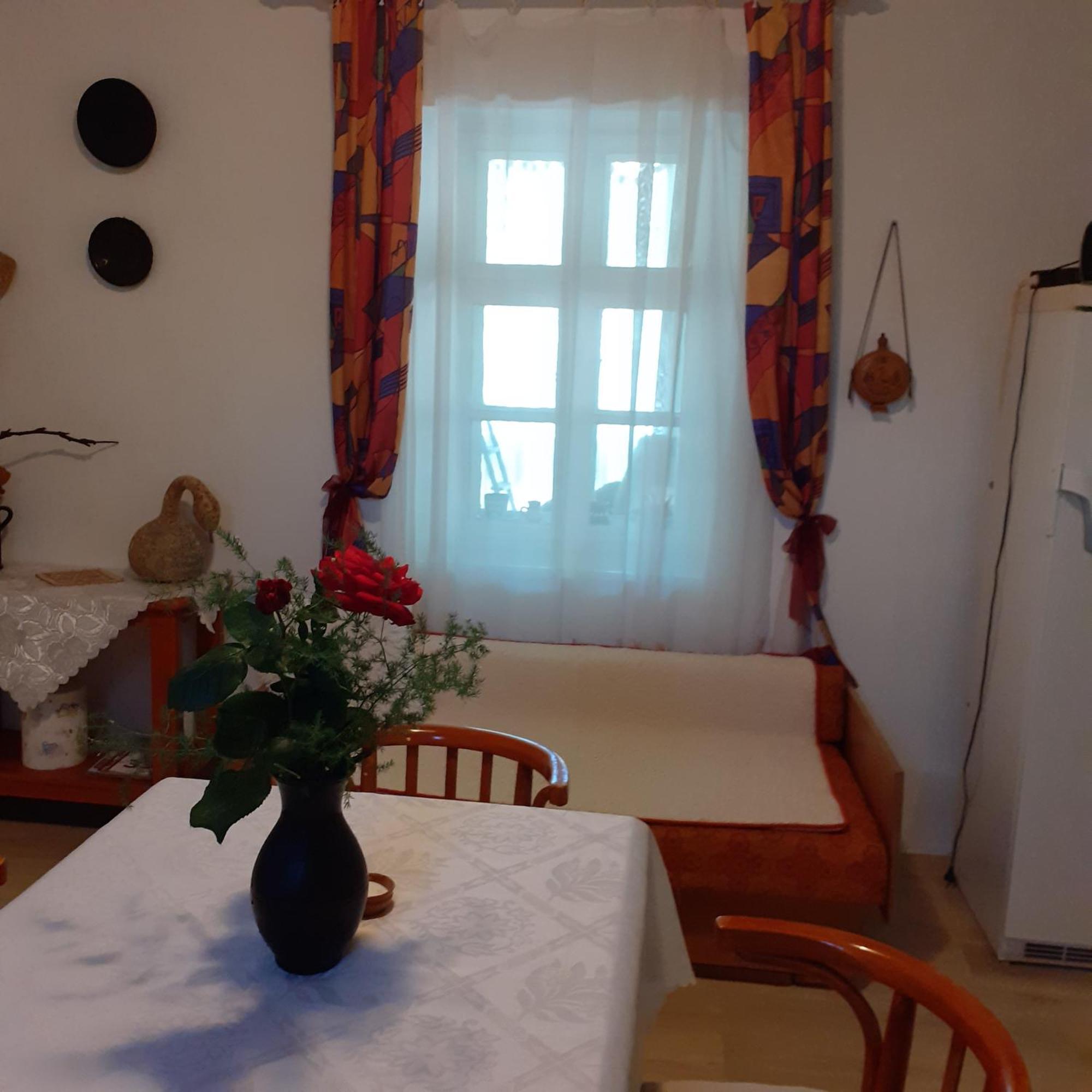 Marika Vendeghaz Apartment Abadszalok ภายนอก รูปภาพ