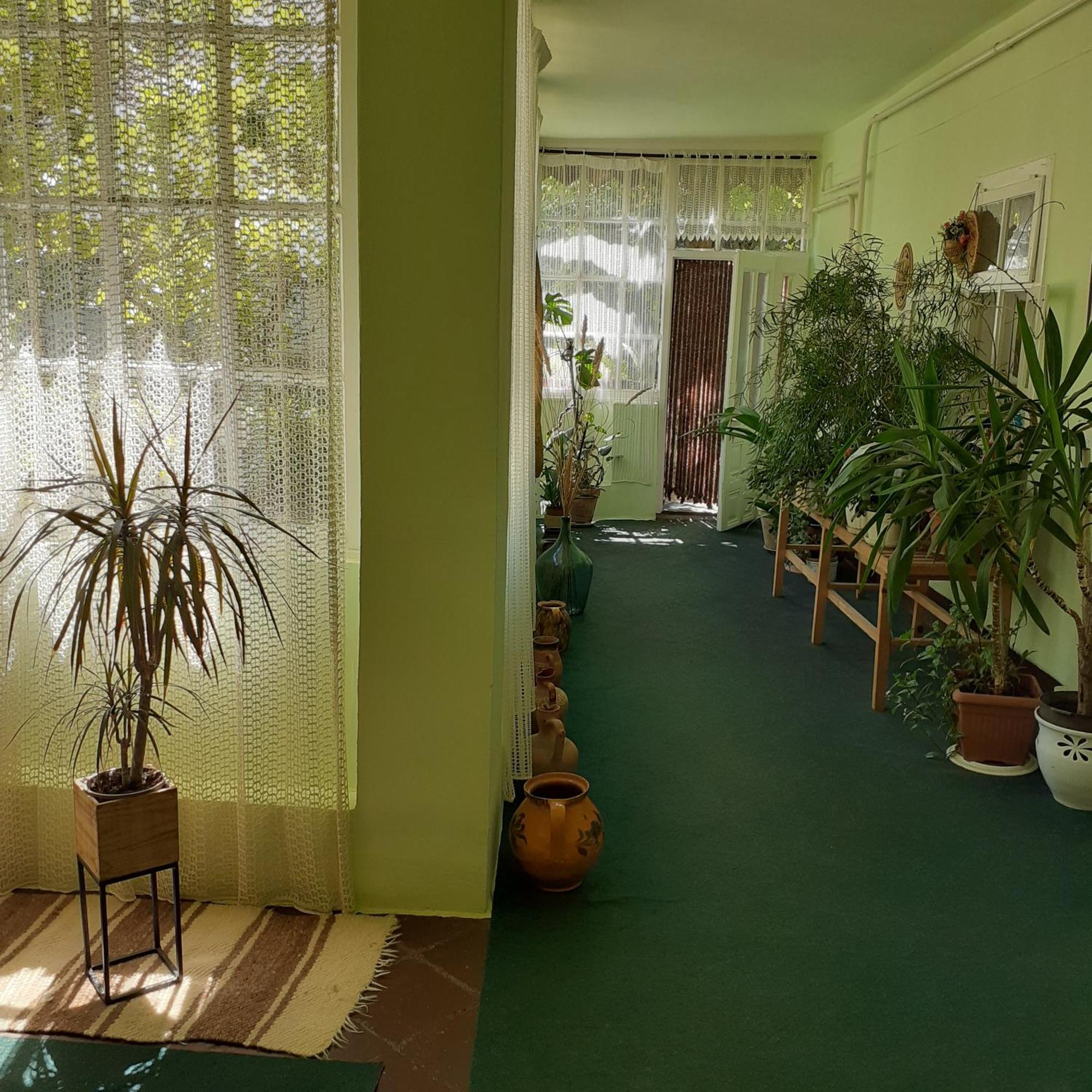 Marika Vendeghaz Apartment Abadszalok ภายนอก รูปภาพ